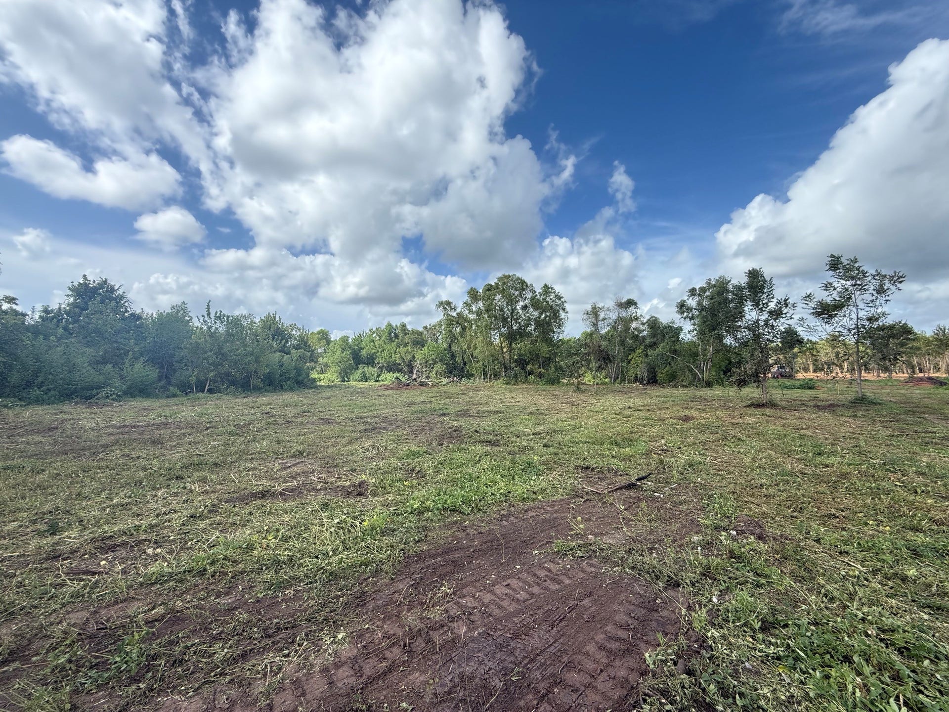 0 County Road 613, Angleton, TX 77515 0 County Road 613, Angleton, TX 77515