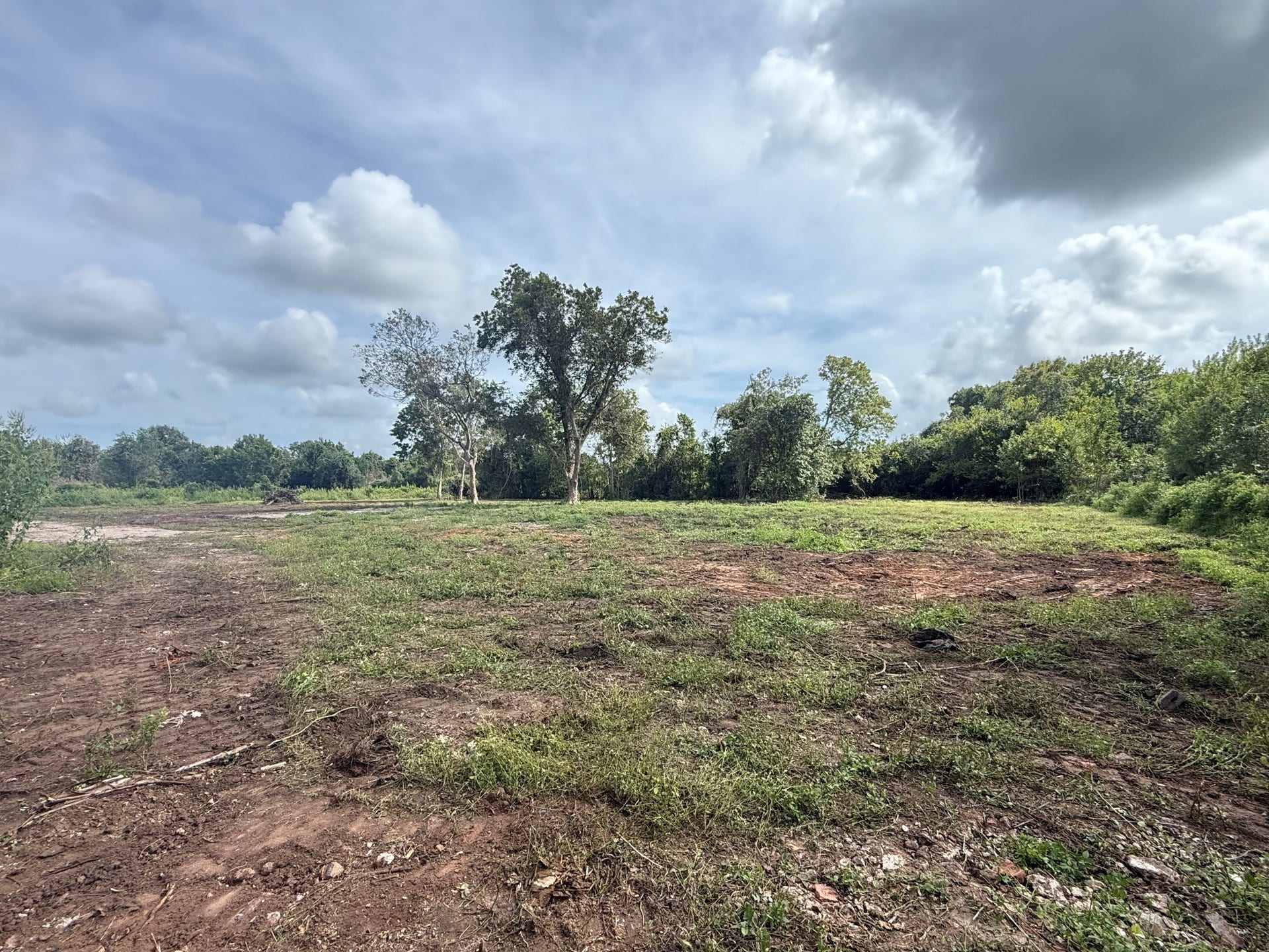 0 County Road 613, Angleton, TX 77515 0 County Road 613, Angleton, TX 77515