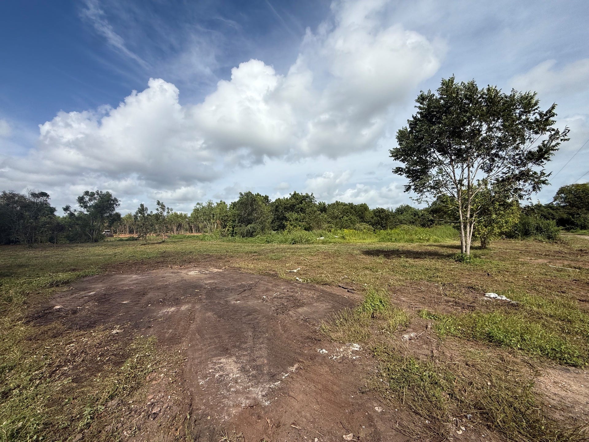 0 County Road 613, Angleton, TX 77515 0 County Road 613, Angleton, TX 77515