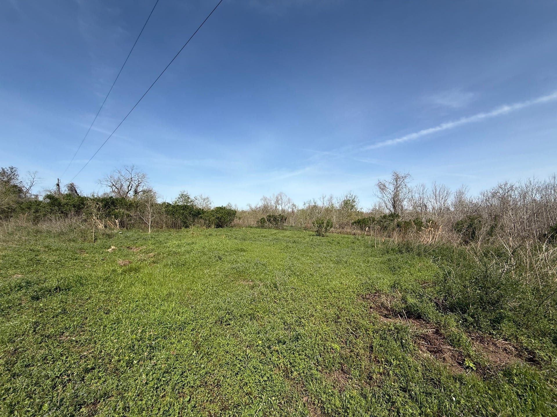 0 County Road 613, Angleton, TX 77515 0 County Road 613, Angleton, TX 77515