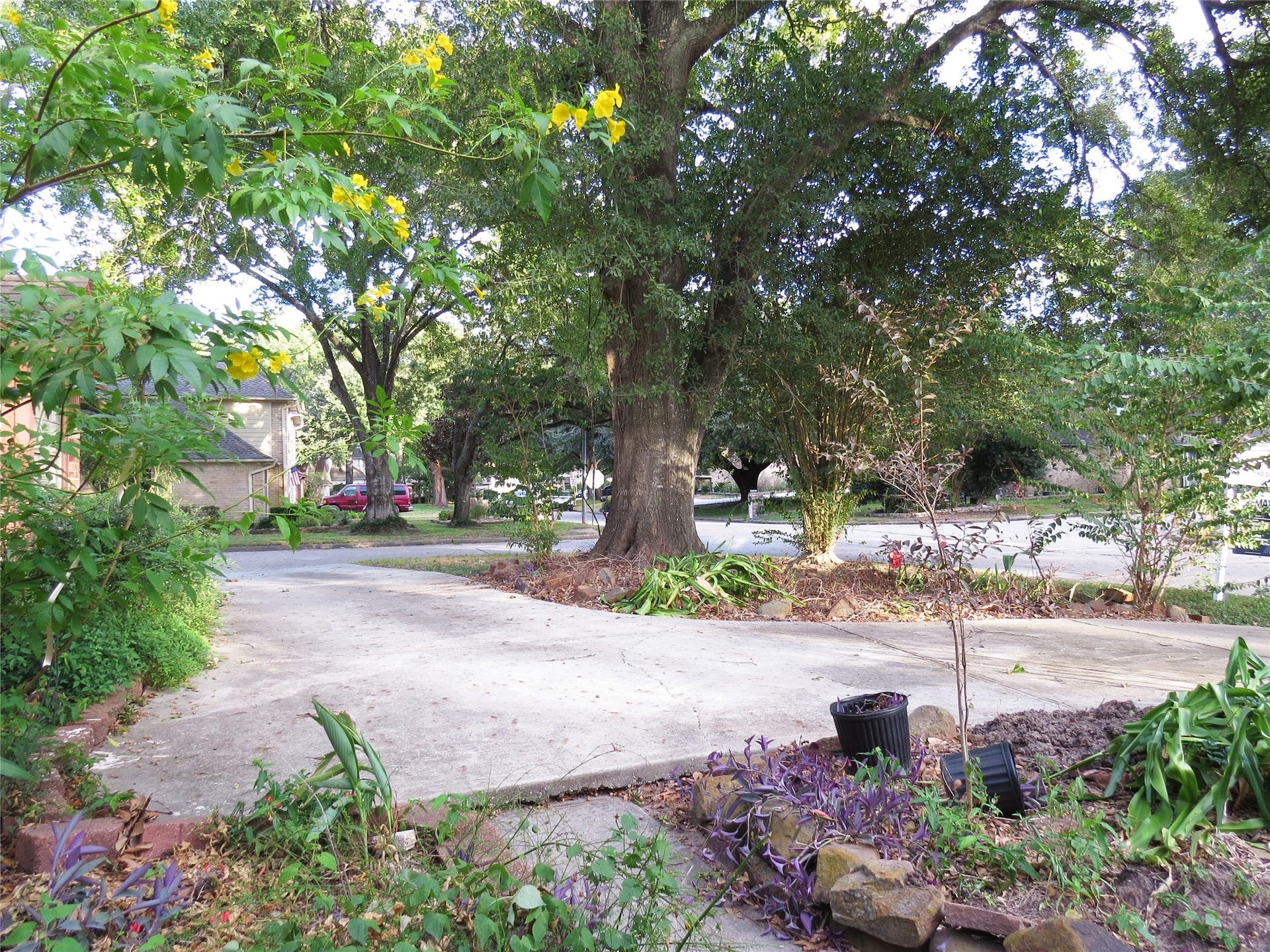 20702 Harvest Hill Lane, Houston, TX 77073