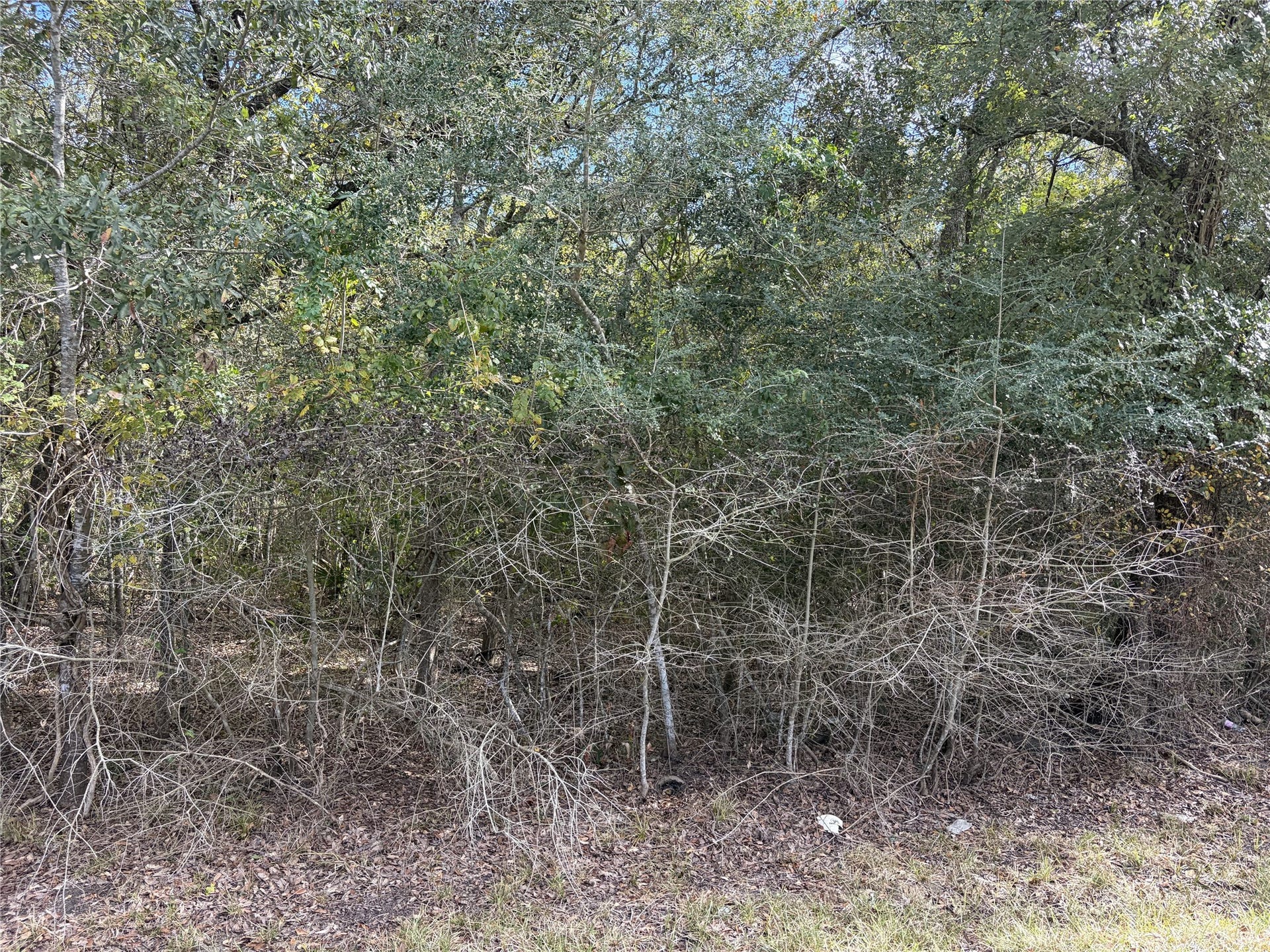 510 Bayou Road County Road 848, Danbury, TX 77534 510 Bayou Road County Road 848, Danbury, TX 77534