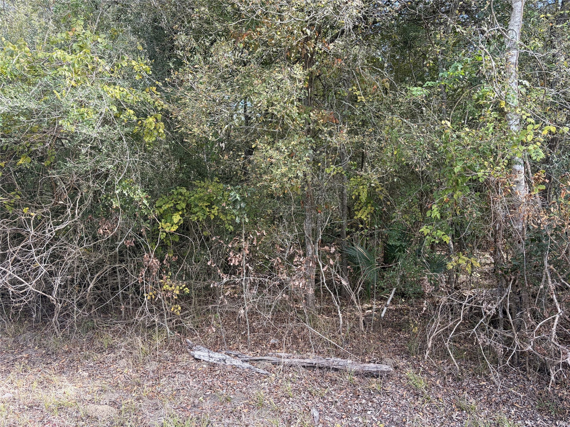 510 Bayou Road County Road 848, Danbury, TX 77534 510 Bayou Road County Road 848, Danbury, TX 77534