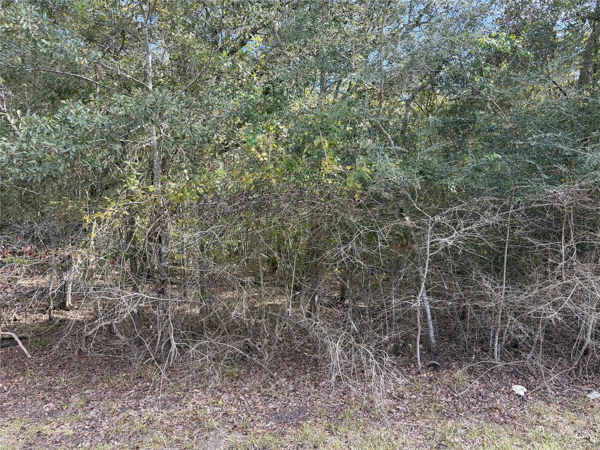 510 Bayou Road County Road 848, Danbury, TX 77534 510 Bayou Road County Road 848, Danbury, TX 77534
