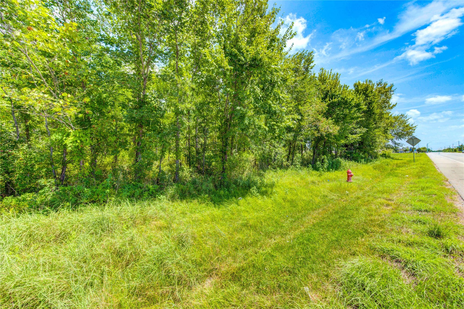 0 COUNTY ROAD 133 Road, Alvin, TX 77511 0 COUNTY ROAD 133 Road, Alvin, TX 77511