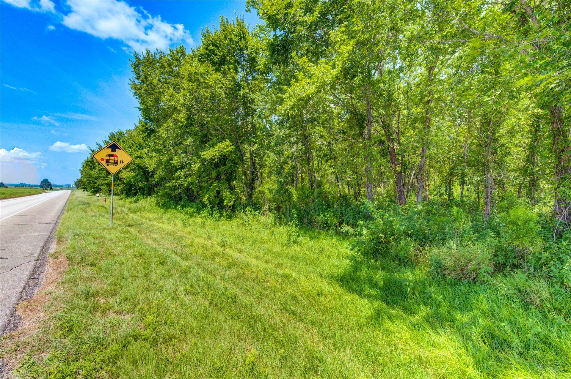 0 COUNTY ROAD 133 Road, Alvin, TX 77511 0 COUNTY ROAD 133 Road, Alvin, TX 77511