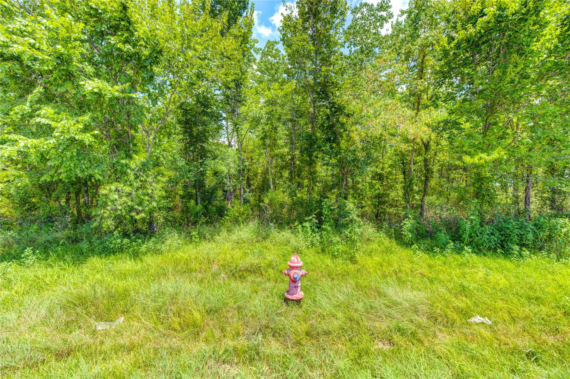 0 COUNTY ROAD 133 Road, Alvin, TX 77511 0 COUNTY ROAD 133 Road, Alvin, TX 77511
