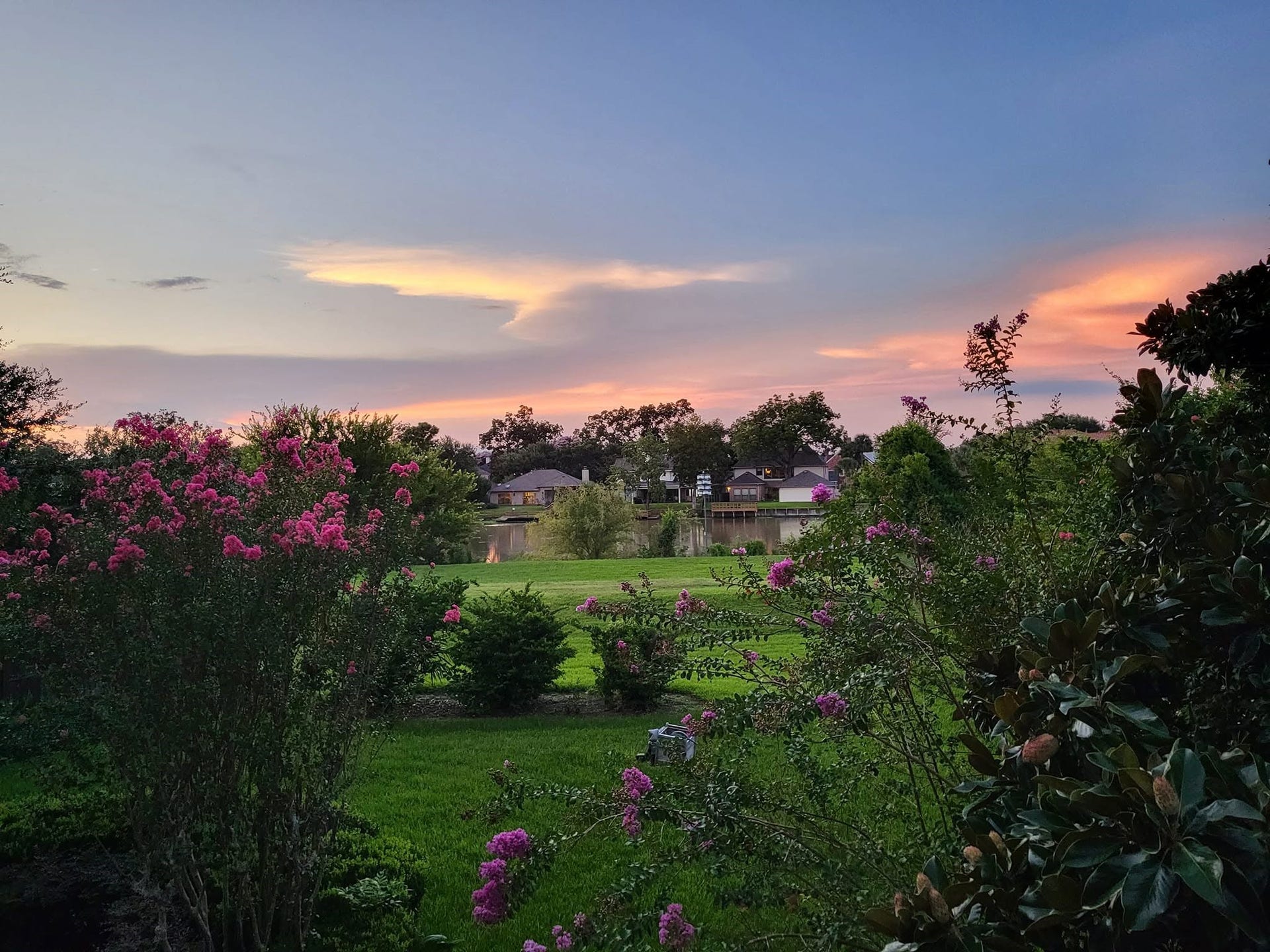 Evening sunset from the backyard.