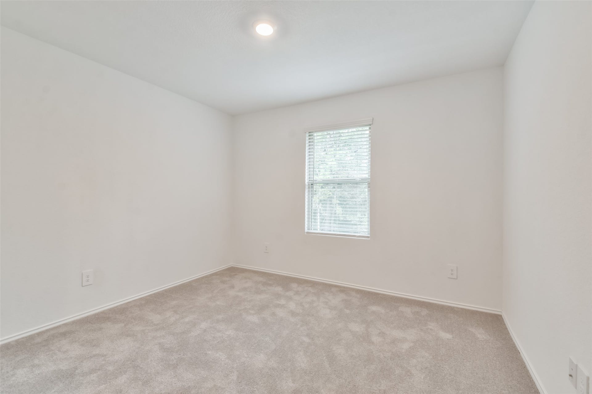 3707 Solanum Drive, Conroe, TX 77301 3707 Solanum Drive, Conroe, TX 77301