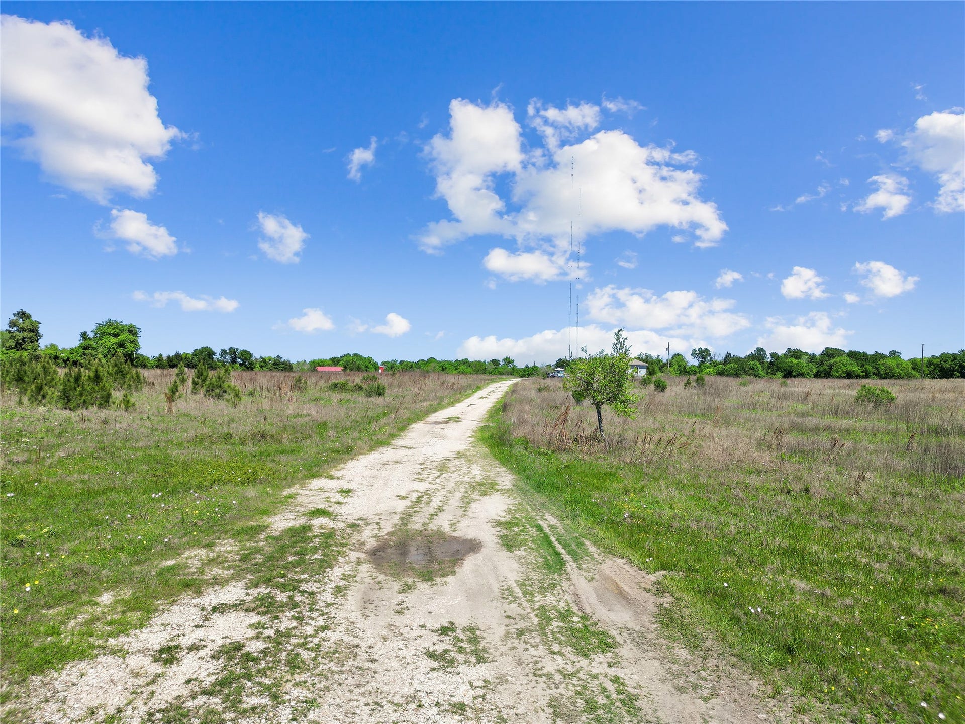11242 Longstreet Road, Willis, TX 77318 11242 Longstreet Road, Willis, TX 77318
