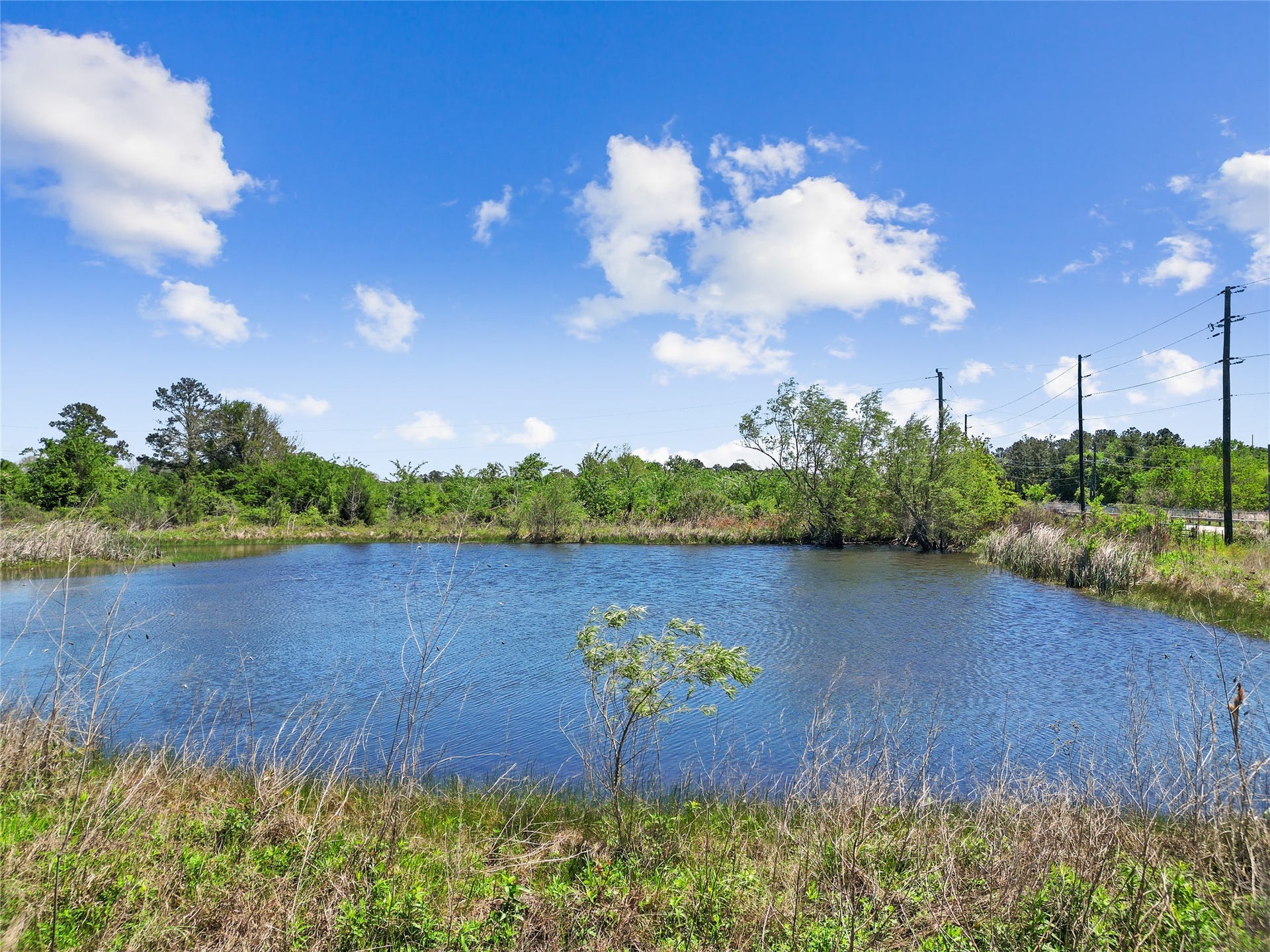 11242 Longstreet Road, Willis, TX 77318 11242 Longstreet Road, Willis, TX 77318