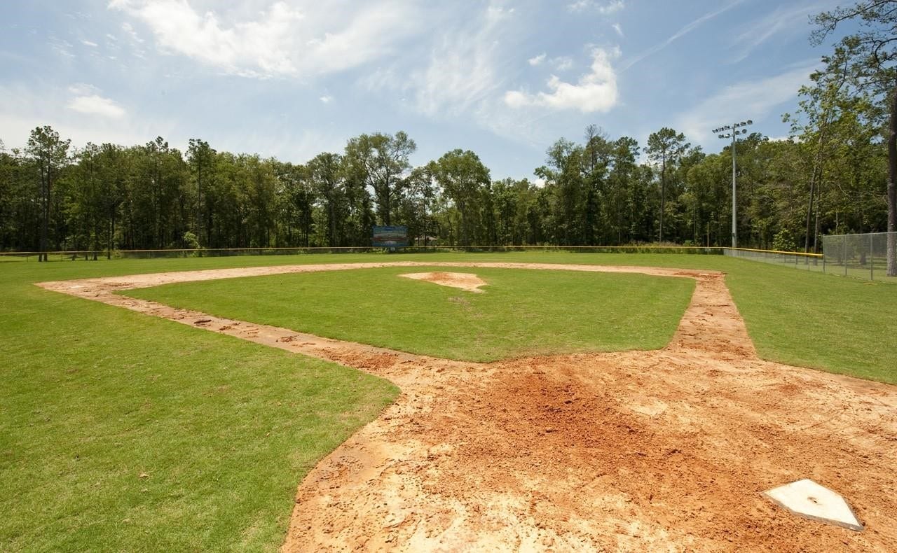 27539 S Lazy Meadow Way, Spring, TX 77386 Sports park is available for all athletes!