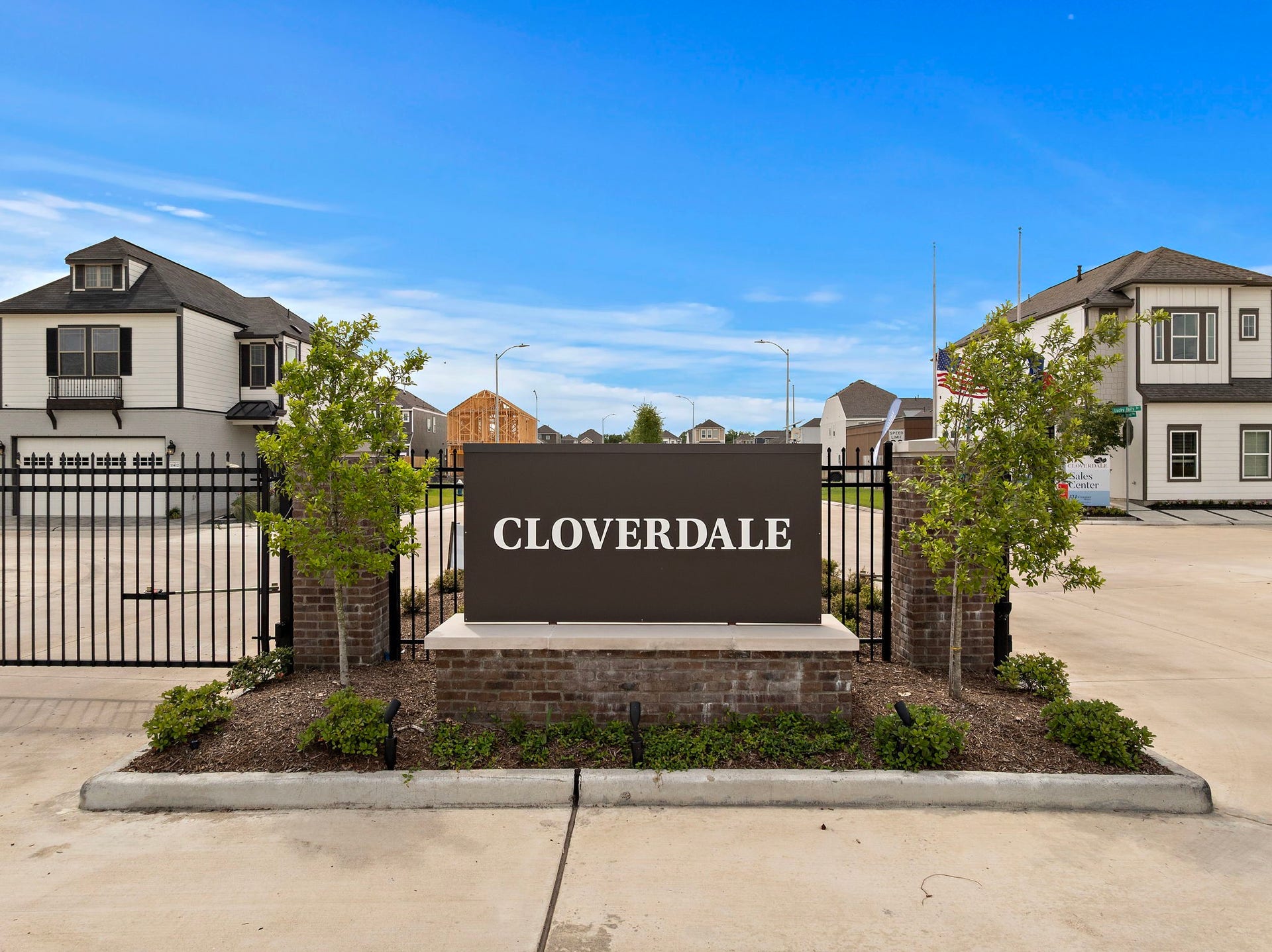 3310 Vine Terrace Trace, Houston, TX 77047 3310 Vine Terrace Trace, Houston, TX 77047