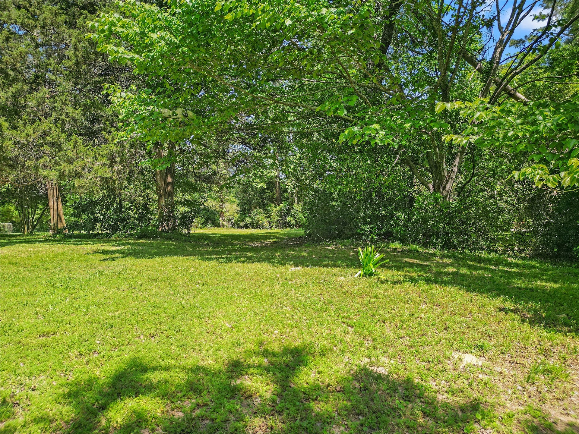 1107 Virgie Community Road, Magnolia, TX 77354