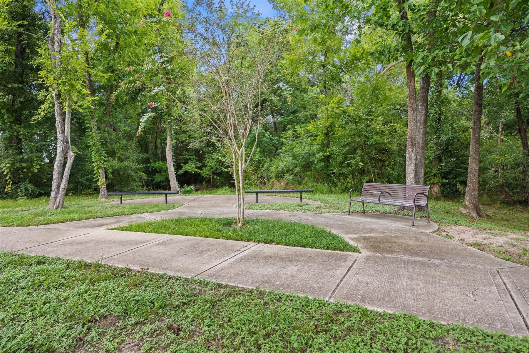 1219 Mcmurtry Ridge Drive, Katy, TX 77494 1219 Mcmurtry Ridge Drive, Katy, TX 77494