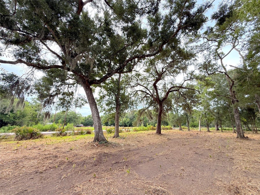 Property photo for Lot 12A1 CR 345, Brazoria, TX