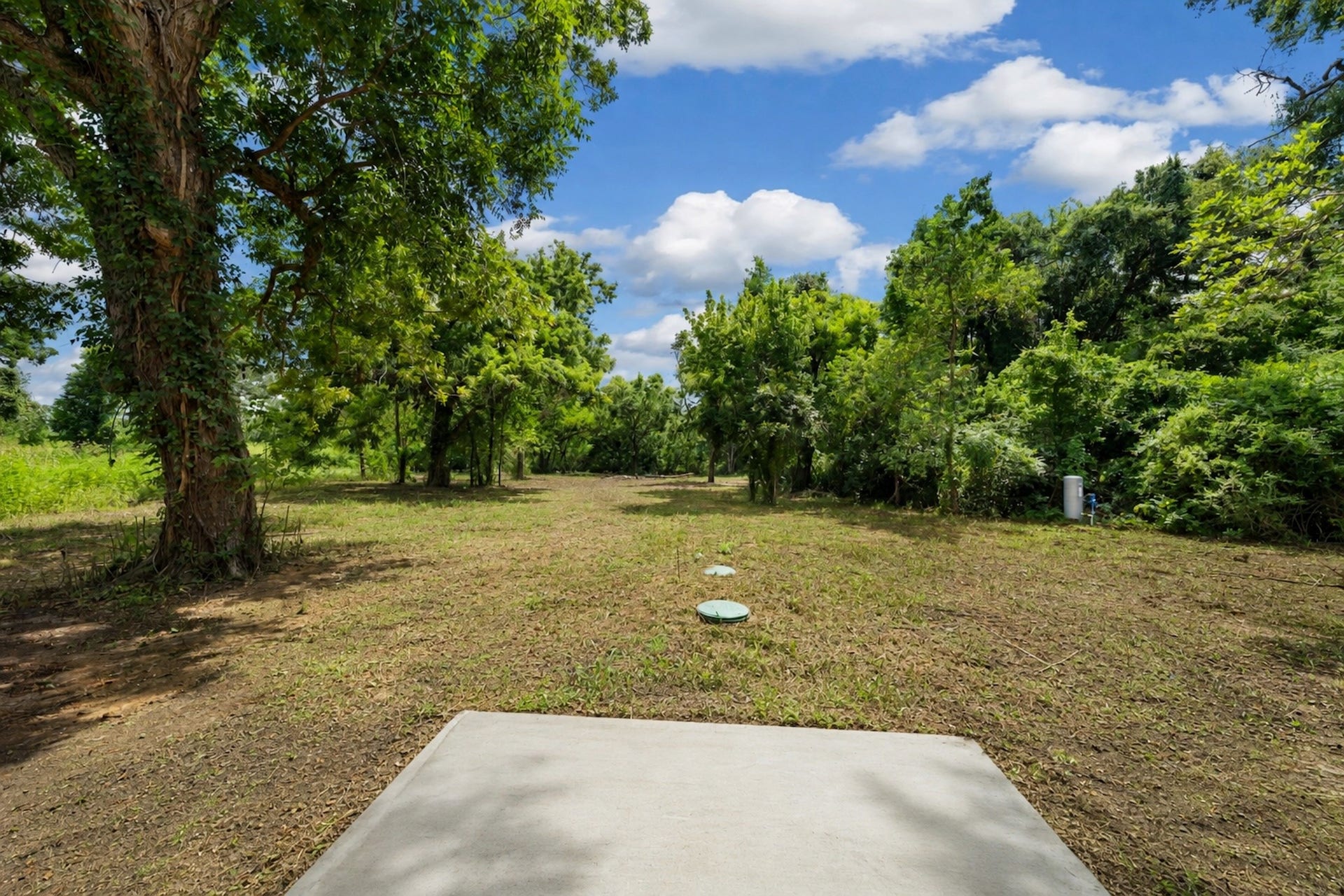 2109 County Road 353, Brazoria, TX 77422 Backyard