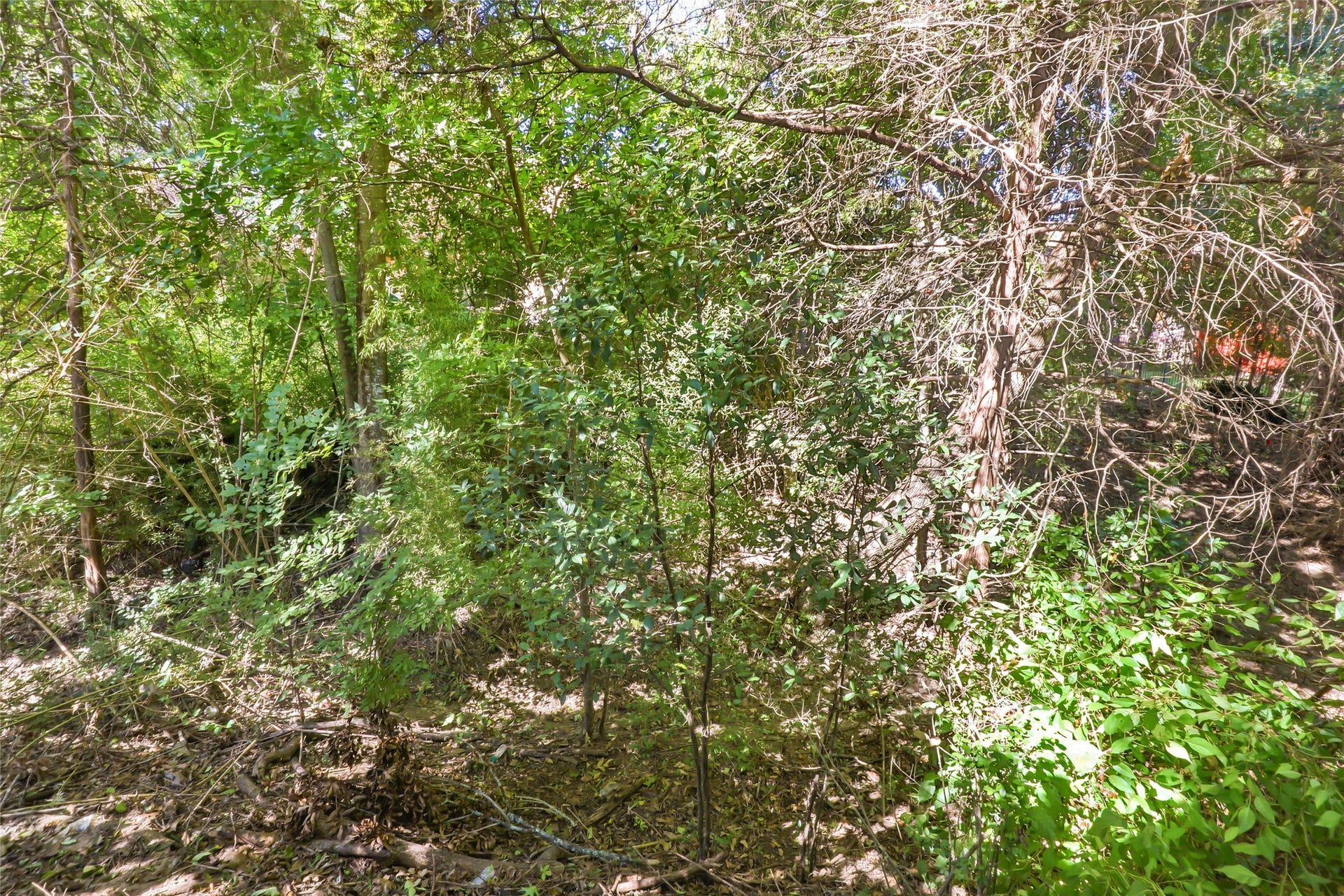 108 Harbour Town Circle, Conroe, TX 77356
