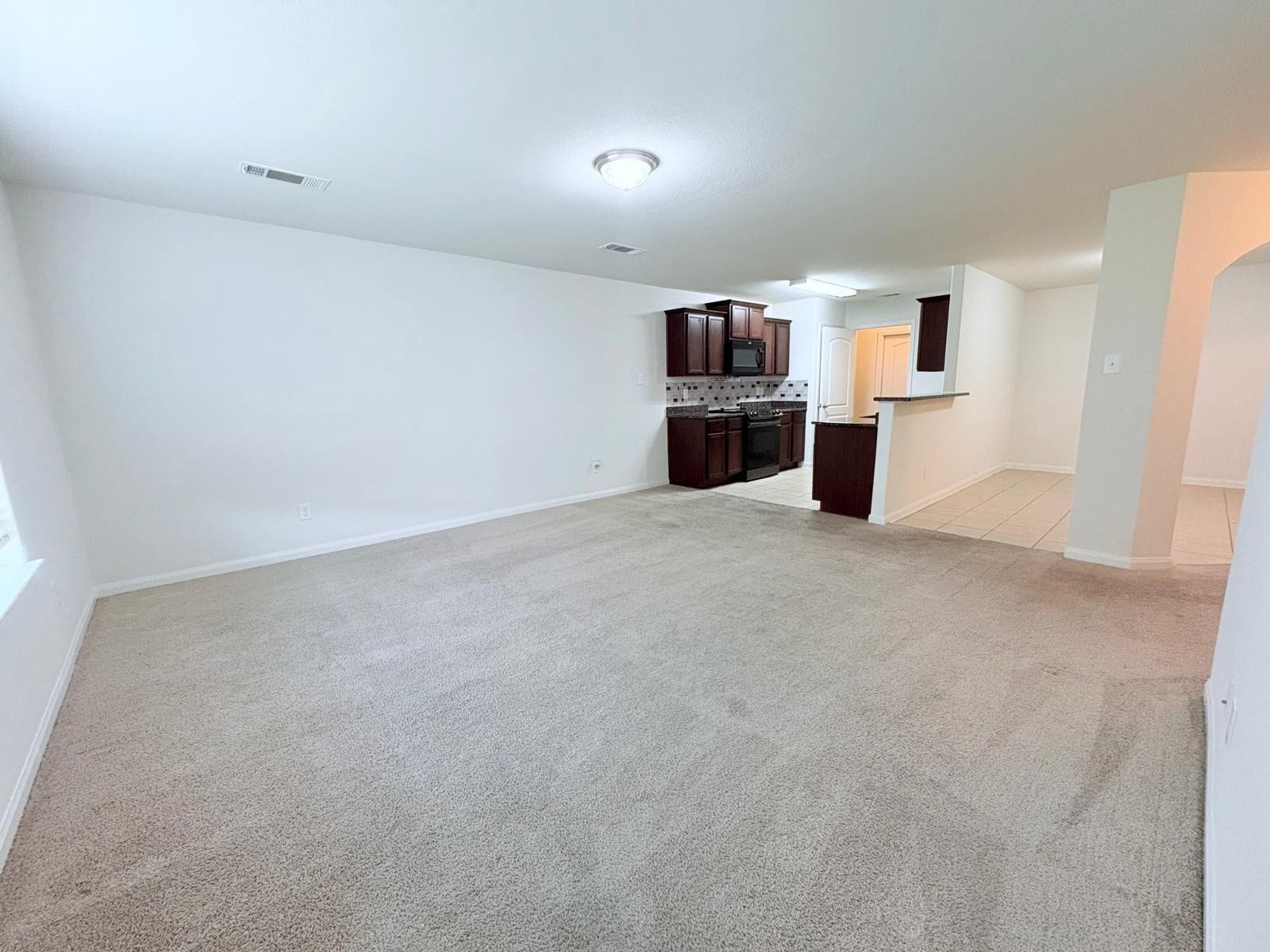9406 Gold Mountain Drive, Rosharon, TX 77583 Living
