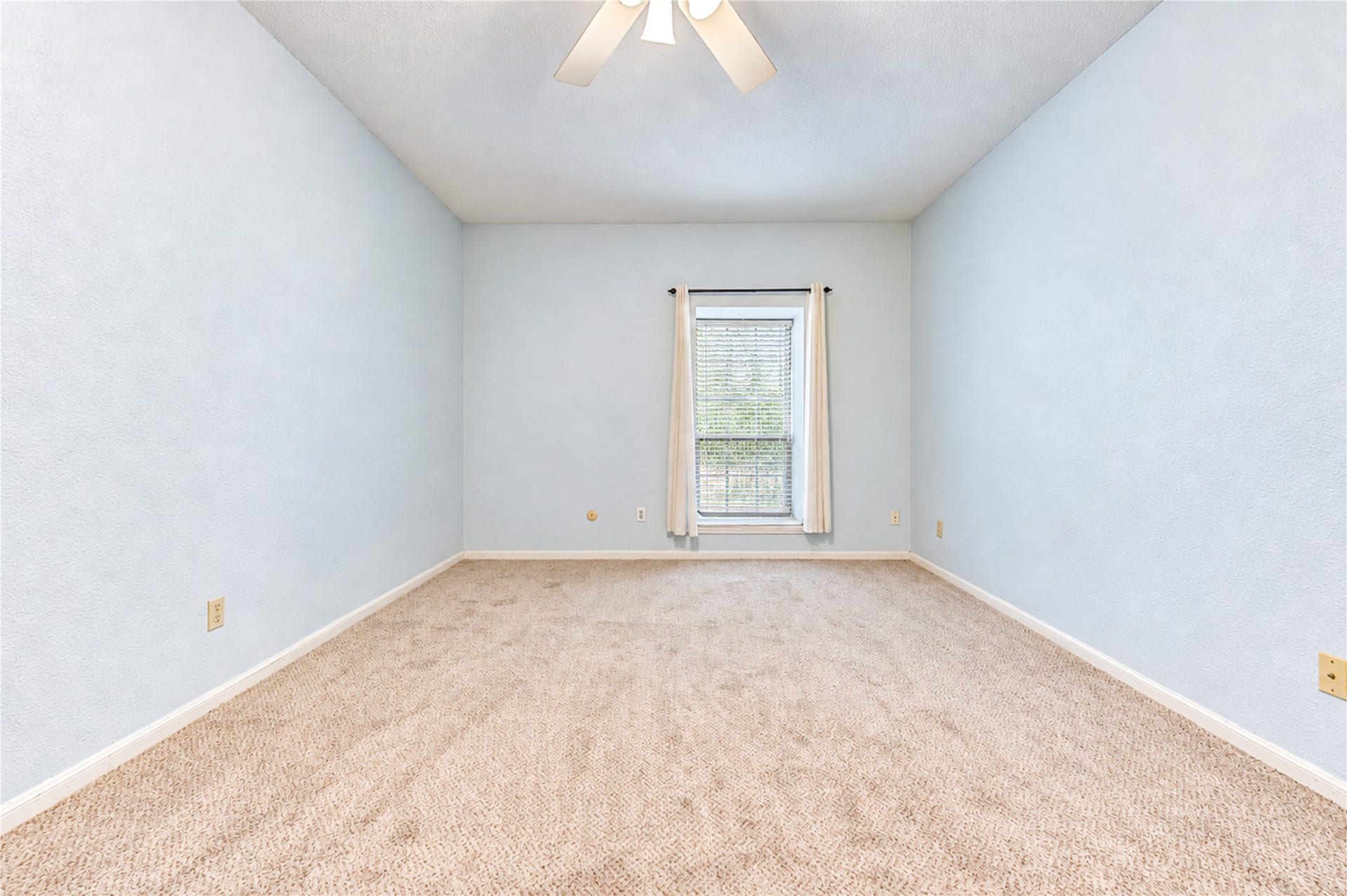 Spacious bedroom featuring soft blue walls, cozy carpeted flooring, and a ceiling fan for comfort, leading to an adjacent bathroom.