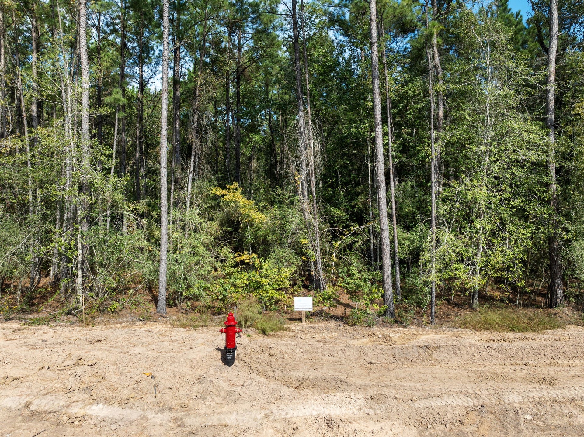 24902 Balmorhea Way, Montgomery, TX 77316 Beautiful hardwoods on this lot