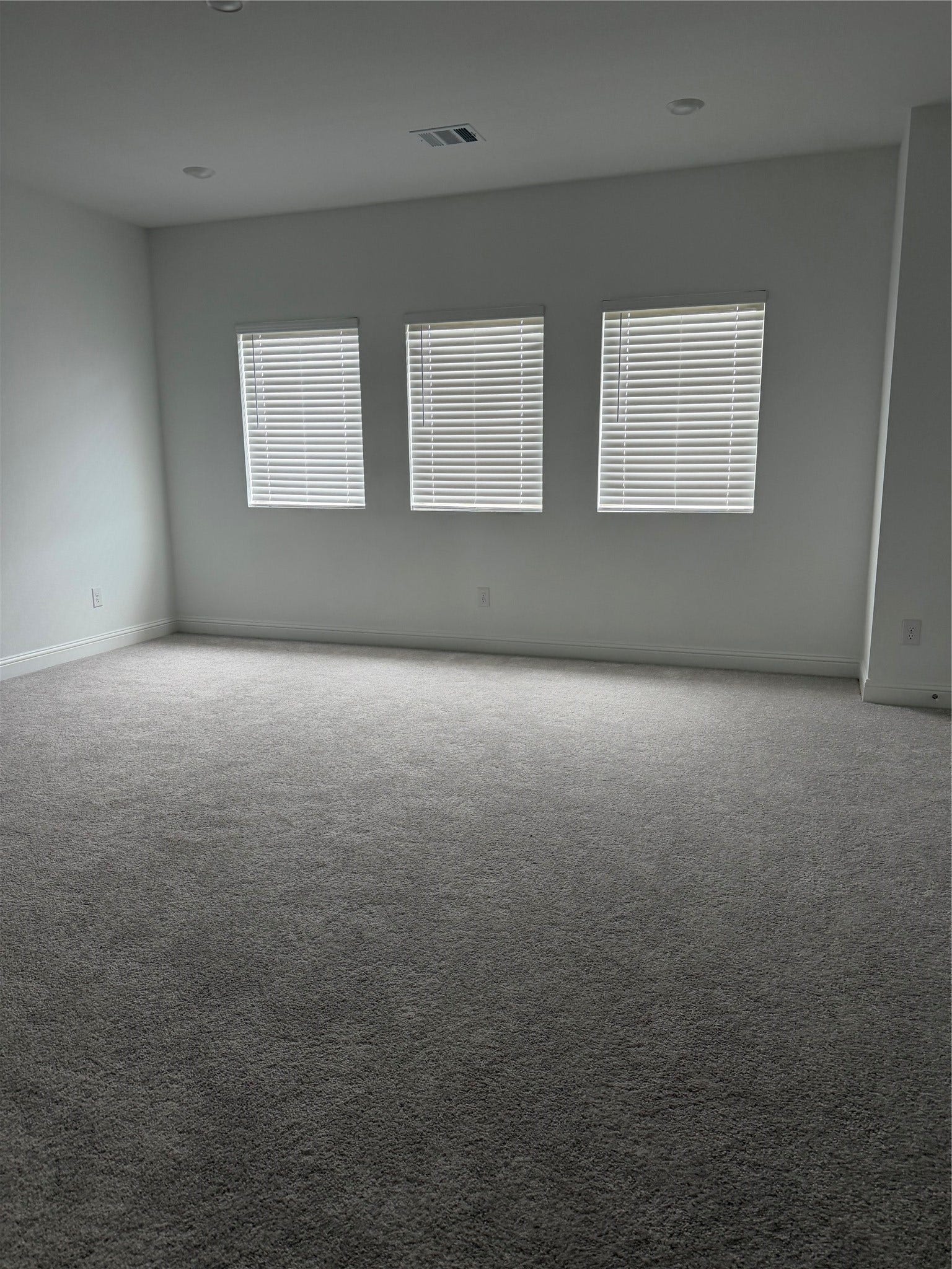 31303 Granary Hollow Drive, Fulshear, TX 77441 31303 Granary Hollow Drive, Fulshear, TX 77441