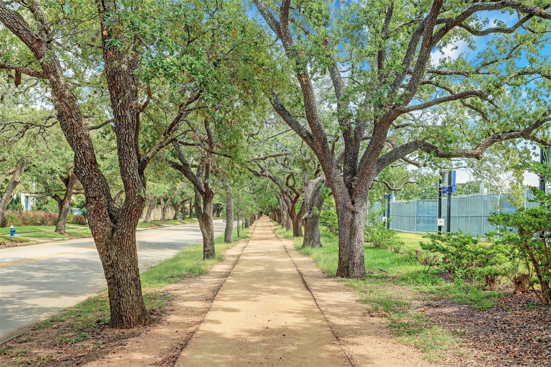 3608 Timberside Circle Drive, Houston, TX 77025 The gravel trail encircling Rice University is a favorite among walkers and runners, offering year-round shade beneath majestic live oaks that are over a century old.