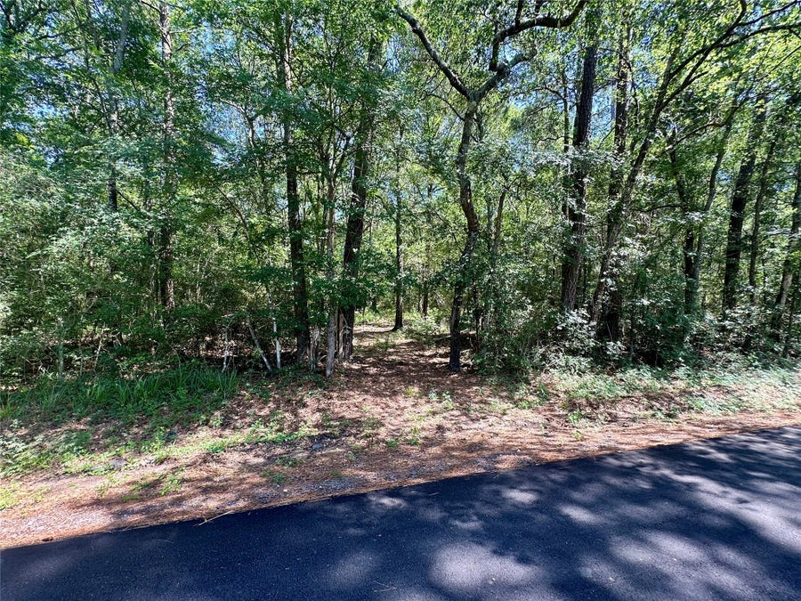 Property photo for 0 Taliaferro Road, Richards, TX