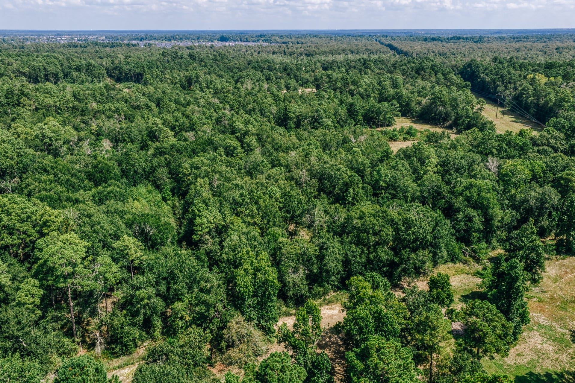 0 Broadway Avenue, Conroe, TX 77385 0 Broadway Avenue, Conroe, TX 77385