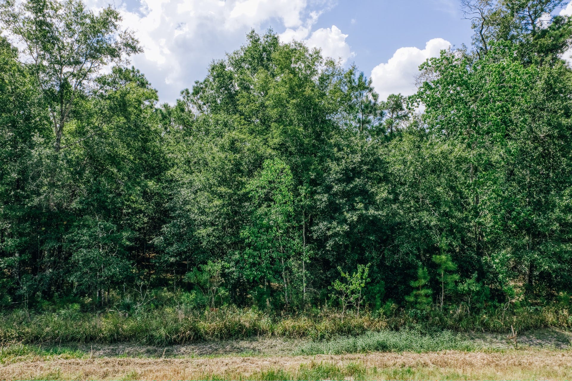 0 Broadway Avenue, Conroe, TX 77385 0 Broadway Avenue, Conroe, TX 77385