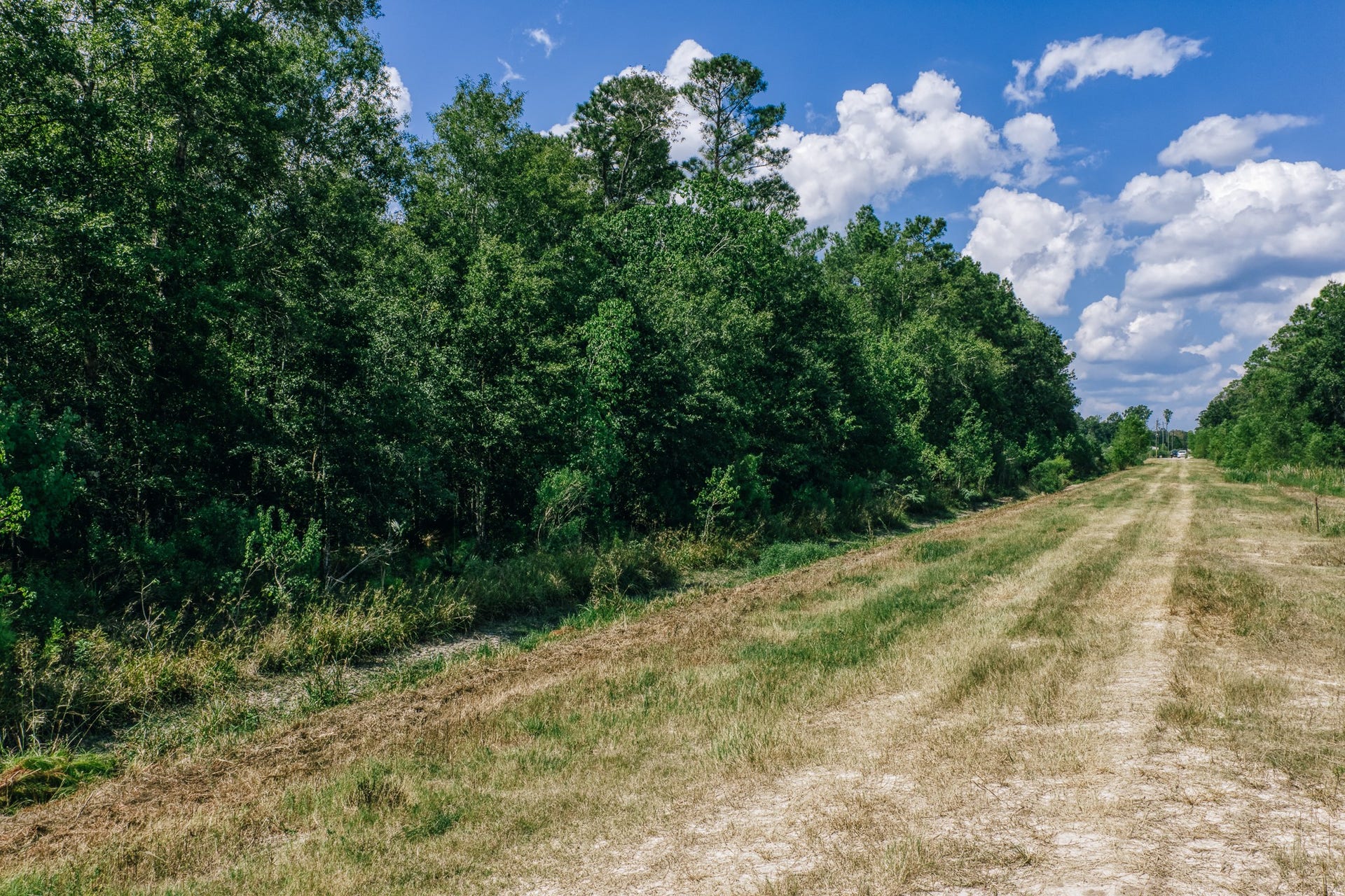 0 Broadway Avenue, Conroe, TX 77385 0 Broadway Avenue, Conroe, TX 77385
