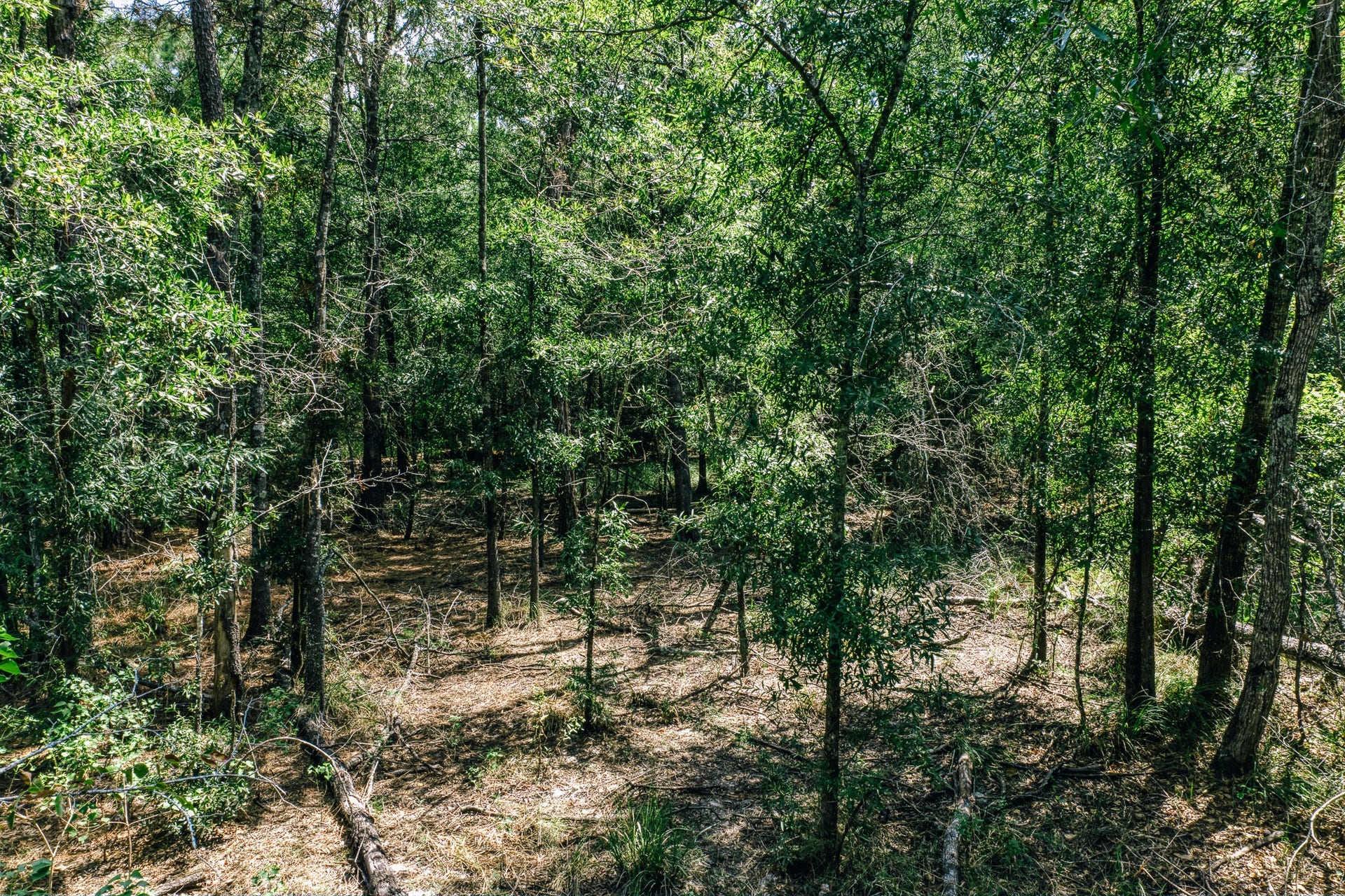 0 Broadway Avenue, Conroe, TX 77385 0 Broadway Avenue, Conroe, TX 77385