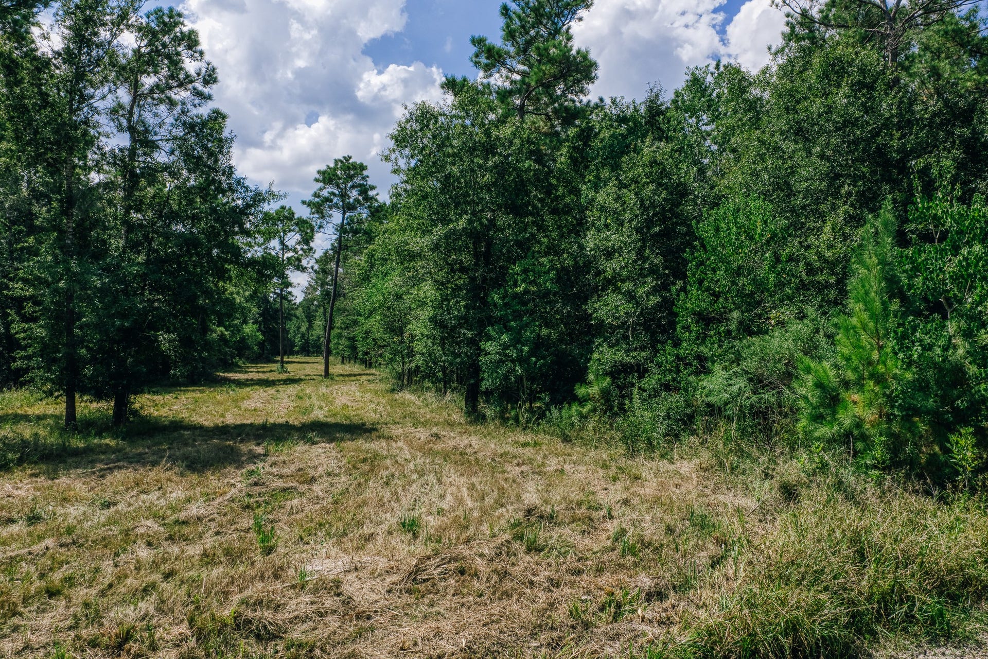 0 Broadway Avenue, Conroe, TX 77385 0 Broadway Avenue, Conroe, TX 77385