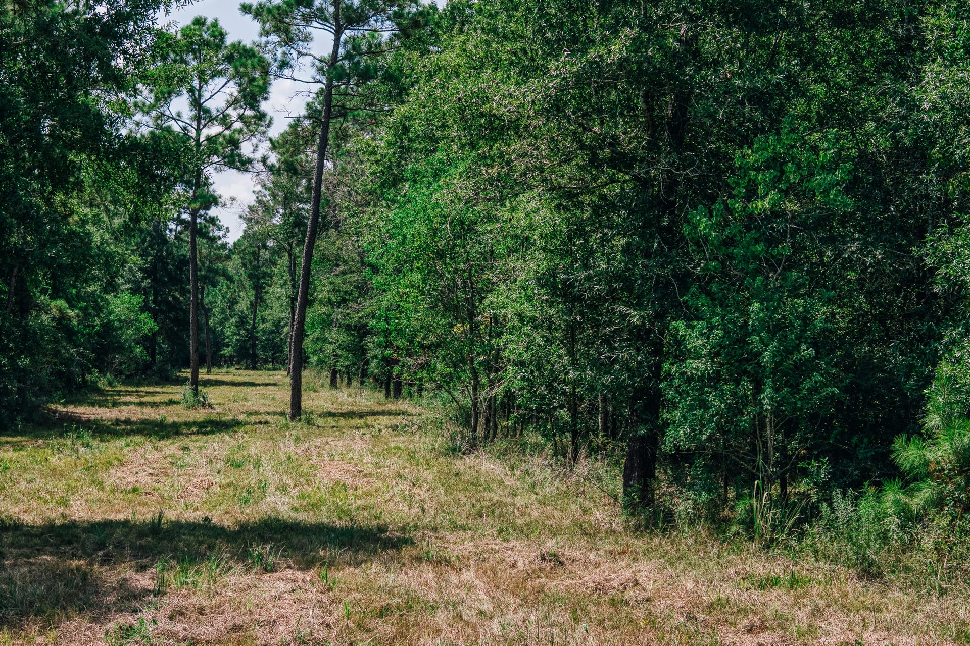 0 Broadway Avenue, Conroe, TX 77385 0 Broadway Avenue, Conroe, TX 77385