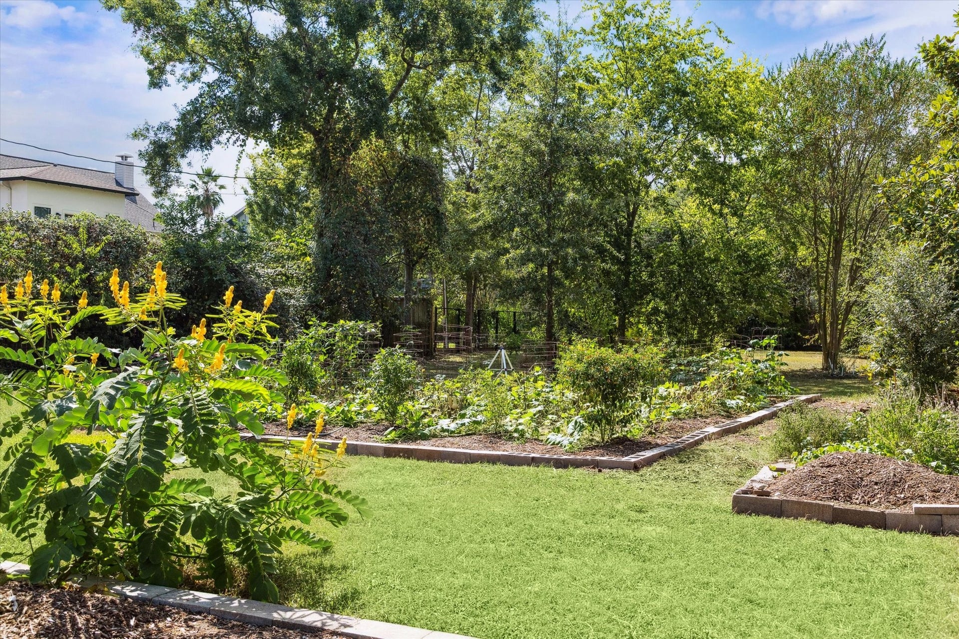 915 Lamonte Lane, Houston, TX 77018 Framed by a handcrafted sign and lush vines, the garden is a perfect example of the areas strong
commitment to sustainability, education, and community engagement. Whether youre a seasoned gardener
or simply enjoy green spaces, this garden adds warmth, character, and a unique sense of neighborhood
pride to the area.