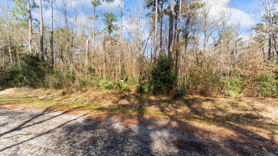 Property photo for tbd N Essex Dr, Conroe, TX