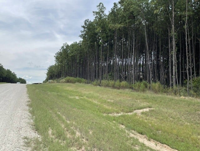 15963 Forest Grove Drive, Willis, TX 77378 15963 Forest Grove Drive, Willis, TX 77378