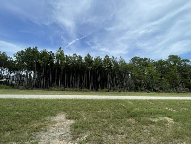 15963 Forest Grove Drive, Willis, TX 77378 15963 Forest Grove Drive, Willis, TX 77378