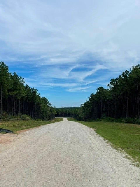 15963 Forest Grove Drive, Willis, TX 77378 15963 Forest Grove Drive, Willis, TX 77378