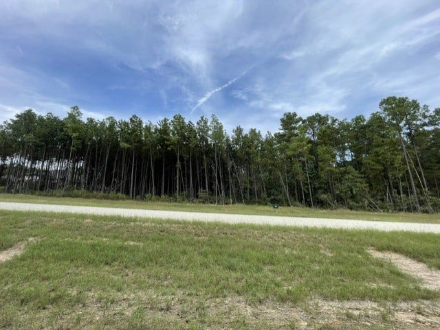 15963 Forest Grove Drive, Willis, TX 77378 15963 Forest Grove Drive, Willis, TX 77378