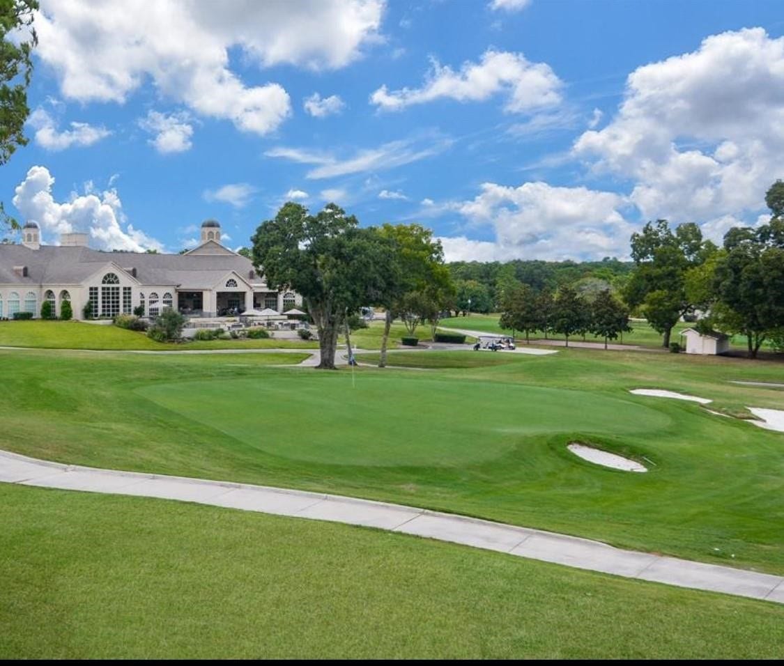 19 Grey Moss Lane, Montgomery, TX 77356 19 Grey Moss Lane, Montgomery, TX 77356