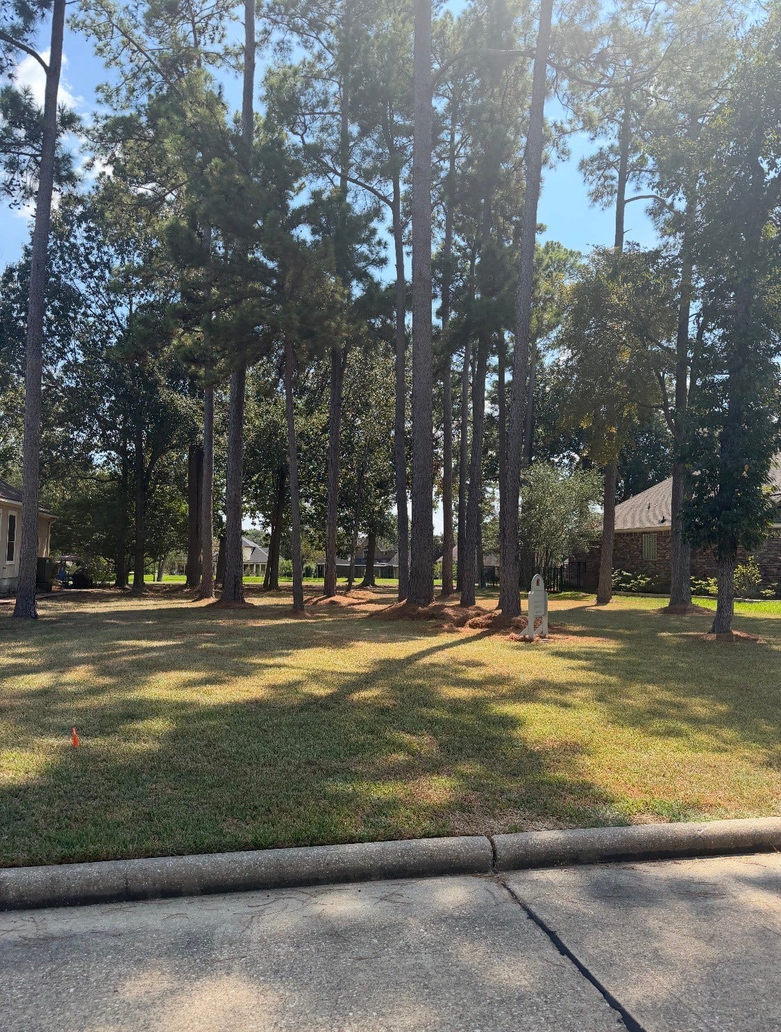 19 Grey Moss Lane, Montgomery, TX 77356 19 Grey Moss Lane, Montgomery, TX 77356