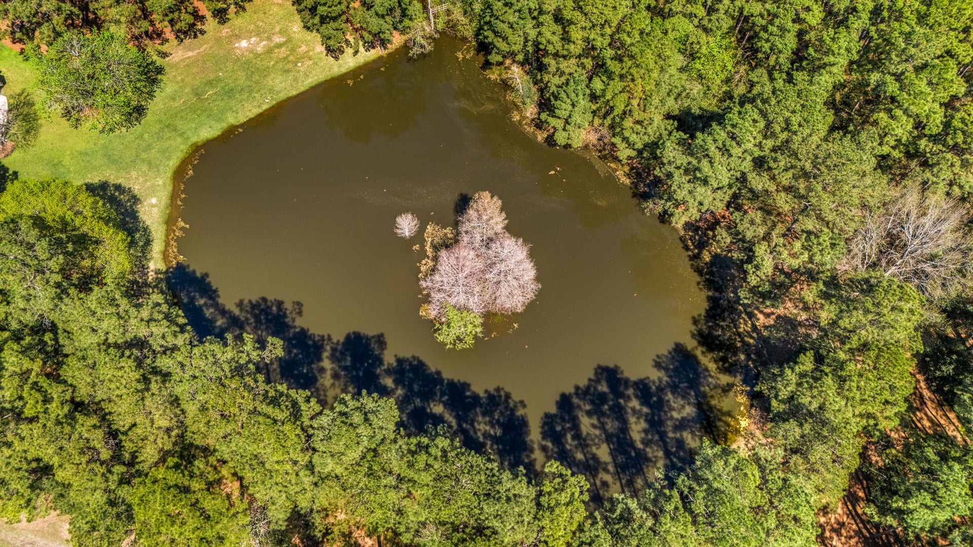 The community features beautiful natural surroundings, including a pond and wooded areas that create a peaceful environment.