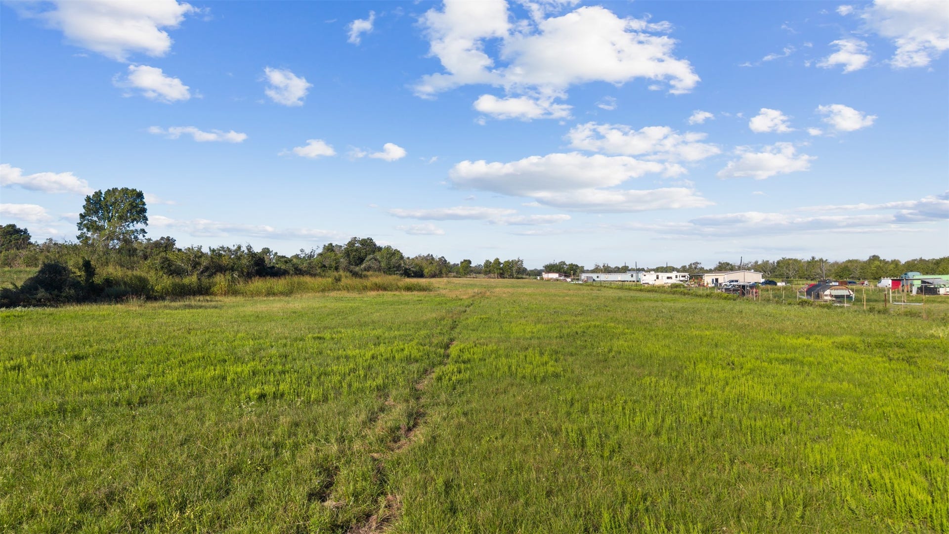 Looking west toward FM 1887, this view highlights the property's expansive open landscape, grassy terrain, and natural tree line along the acreage.