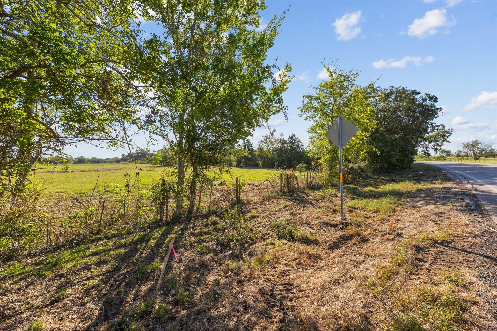 Looking south along FM 1887, this view highlights the property's road frontage, mature roadside trees, and open acreage extending beyond the tree line.