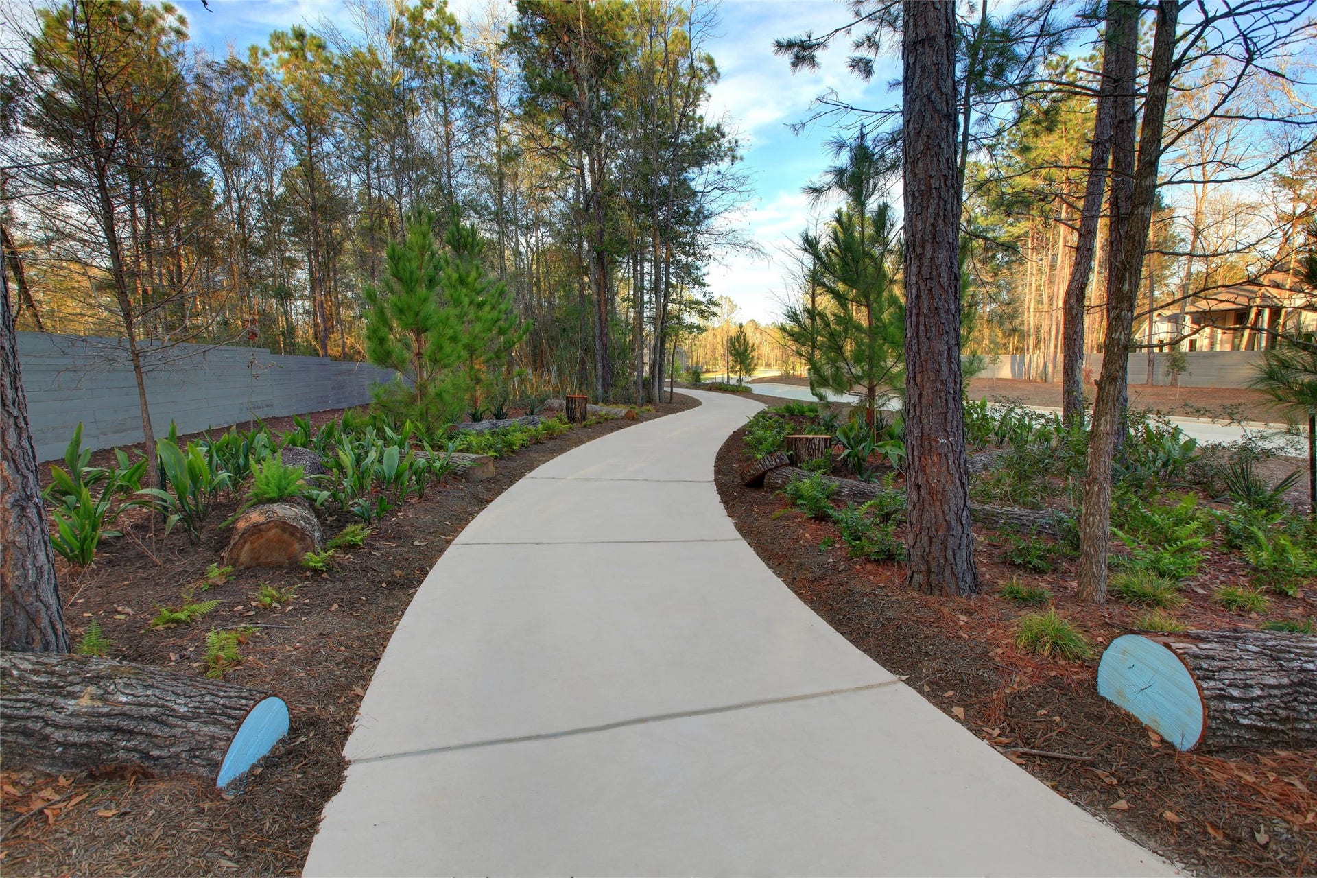 One of the many scenic walking trails in the master-planned community of ARTAVIA in Conroe, Texas. These extensive trails are a key amenity designed to enhance the natural wooded environment of the area.