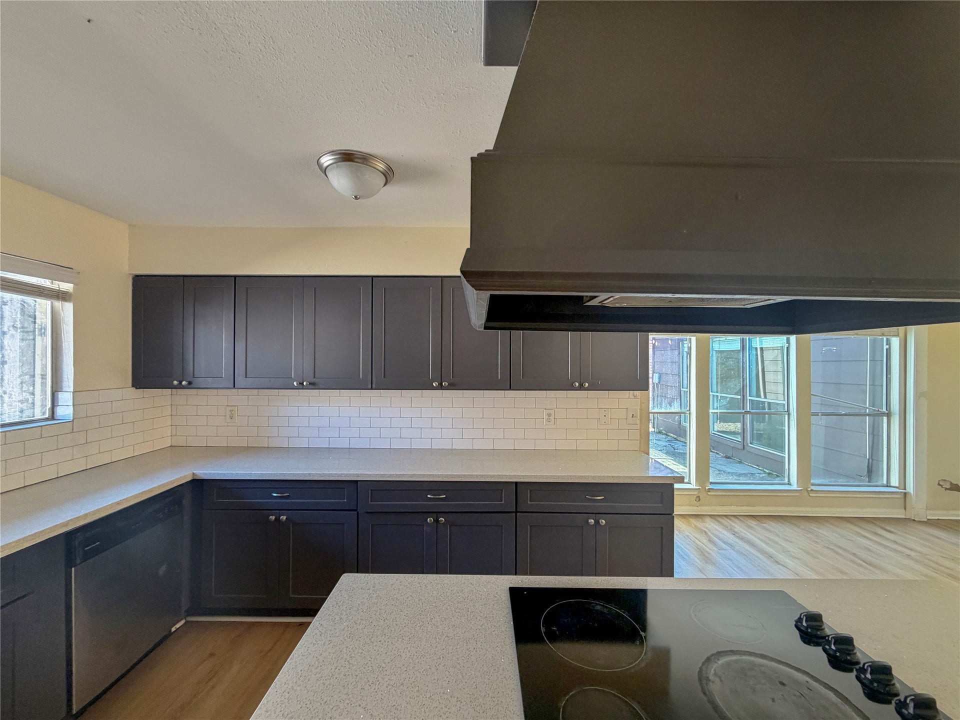 Kitchen Cooktop & Cabinets