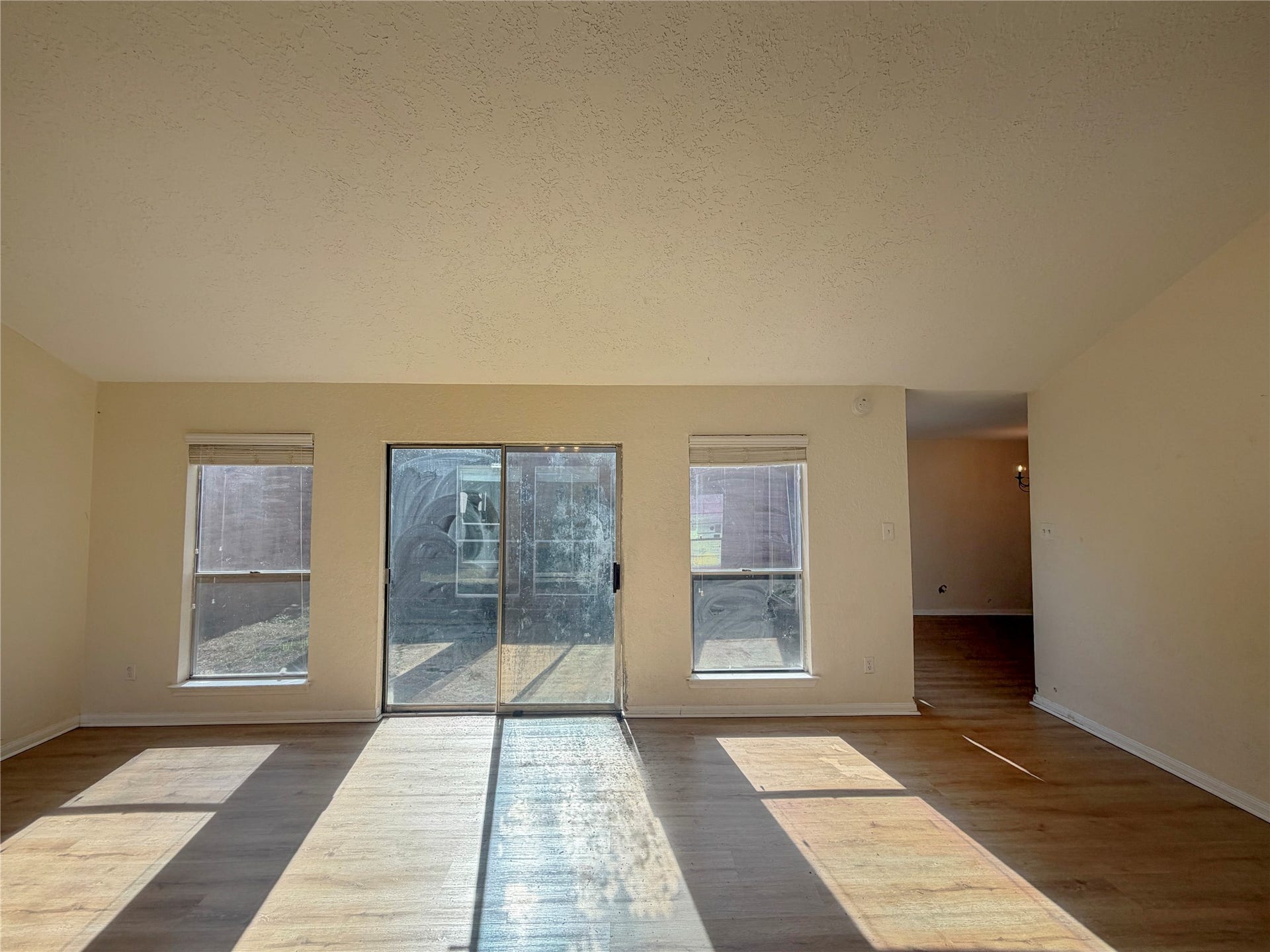 Living Room Sliding Door