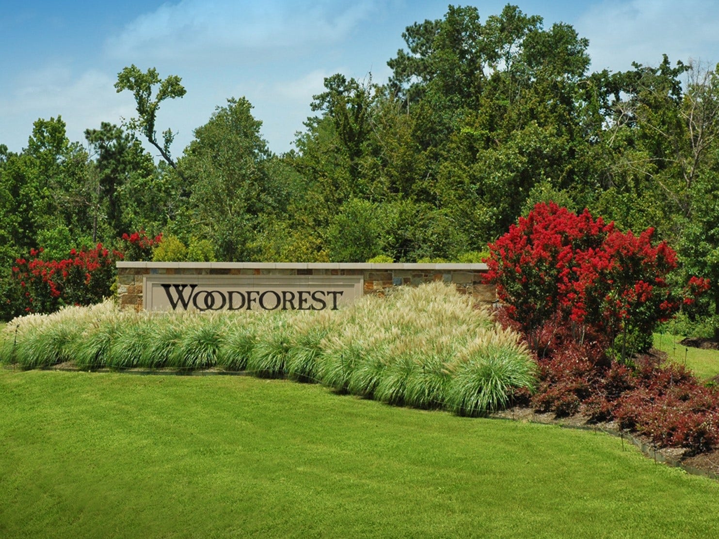413 Meadows Peak Lane, Montgomery, TX 77316 Welcome to Woodforest