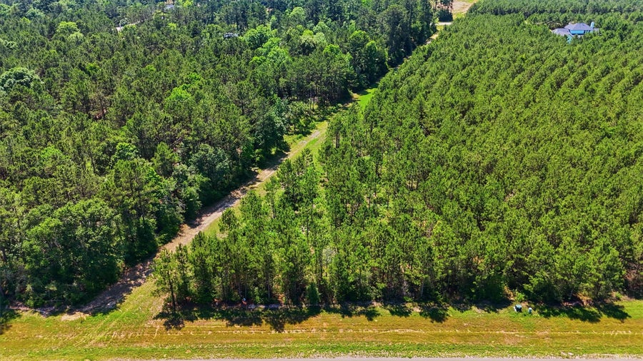 Property photo for 15979 Wood Grove Way, Willis, TX